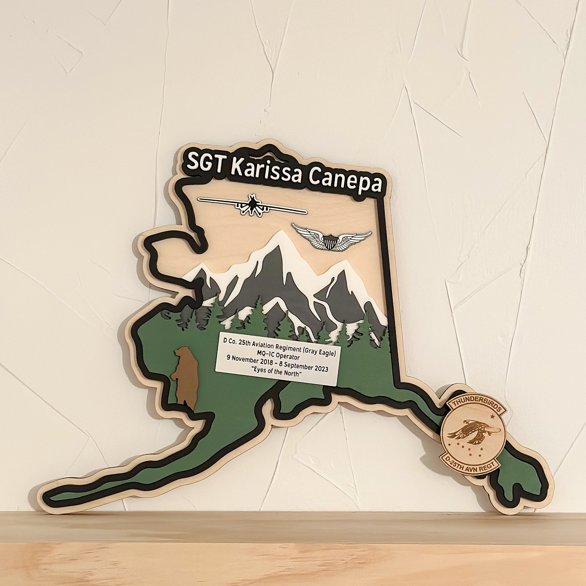 State-shaped military wall decor displayed in a home or office setting